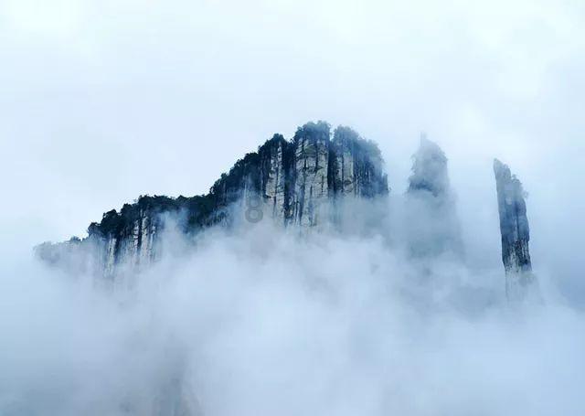 模拟山羊